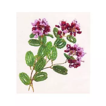 БП-14 Набор для бисероплетения 'Чарiвна Мить' 'Чабрец', 10*6 см