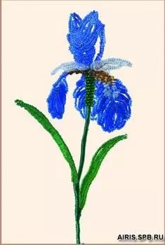 БП-8 Набор для бисероплетения 'Чарiвна Мить' 'Сибирский ирис', 20*7 см