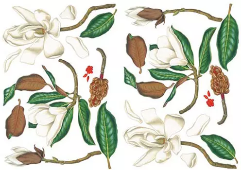 Бумага для декупажа мягкая, 50х70 см, TO-DO (98993)