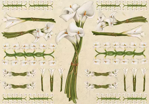 Бумага для декупажа мягкая, 50х70 см, TO-DO (98688)