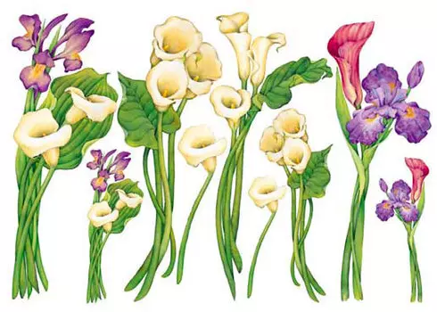 Бумага для декупажа мягкая, 50х70 см, TO-DO (98991)