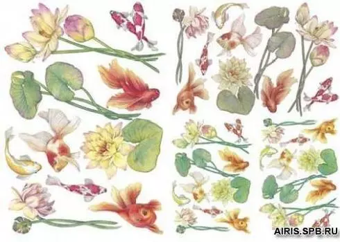 Бумага для декупажа мягкая, 50х70 см, TO-DO (98995)