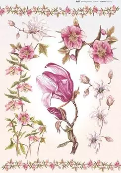 Бумага рисовая для декупажа 'Магнолия', размер 45х31 см, плотность 25 г/кв.м, 1 лист, Arté