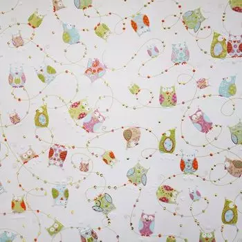 CFWTU5837 Бумага для скрапбукинга 'Счастливые совы' (Turnowsky) лист 50х70см Renkalik