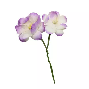 Цветы сакуры, набор 4 шт, диам 3,5 см (SCB291203 бело-фиолетовые)