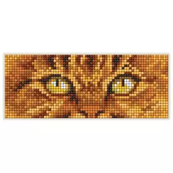 dсm042 Алмазная мозаика магнит РТО 17,0*6,8см