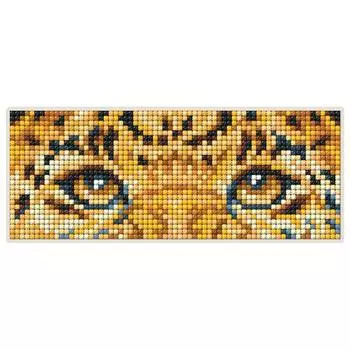 dсm043 Алмазная мозаика магнит РТО 17,0*6,8см