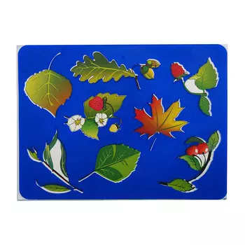 DV-5581 Трафарет-раскраска 'Листья'