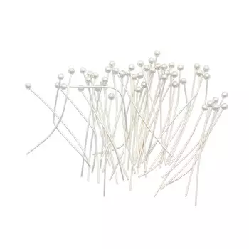 FIN2273 Штифты с круглой головкой, 0,5-*30 мм, упак./100 шт., 'Астра' (серебро)