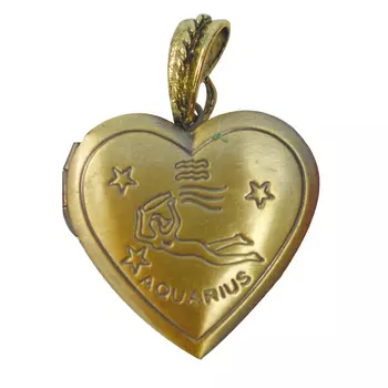 FIN2856 Подвеска декоративная 'Знаки Зодиака', 27*29*7 мм, Astra&amp;Craft (Водолей)