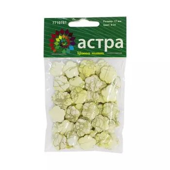 FRM Бусины пластиковые, 2317, 17 мм, упак./50 шт., Astra&amp;Craft (6-31)