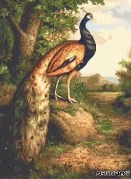 G-1110 Набор для вышивания 'Гобелен Классик' 'Павлин', 24х33 см