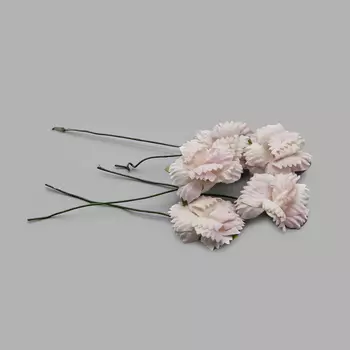 SCB291506 Гвоздики, набор 5 шт, диам 2,5 см, бело-розовые