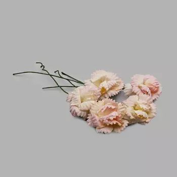 SCB291501 Гвоздики, набор 5 шт, диам 2,5 см, желто-розовые