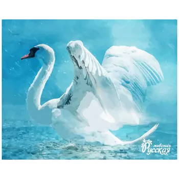 H002 Наборы для рисования по номерам 'Белый лебедь' 40*50см