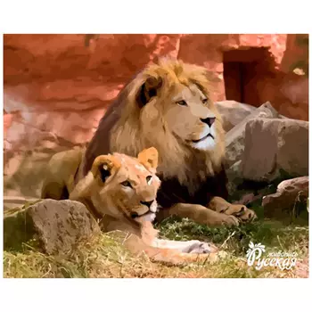 H007 Наборы для рисования по номерам 'Львы на отдыхе' 40*50см