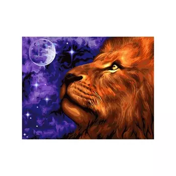 H073 Набор для рисования по номерам 'Лунное царство' 40*50см