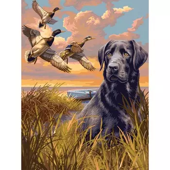 H078 Набор для рисования по номерам 'Охотник' 40*50см