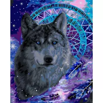 H115 Набор для рисования по номерам 'Ловец снов' 40*50см