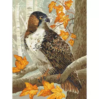 H120 Набор для рисования по номерам 'Зоркий ястреб' 40*50см