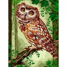 H128 Набор для рисования по номерам 'Милые глазки' 40*50см