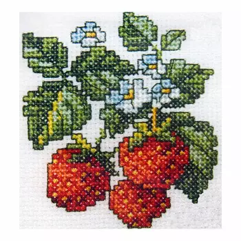 H251 Набор для вышивания RTO 'Земляника', 10x10 см