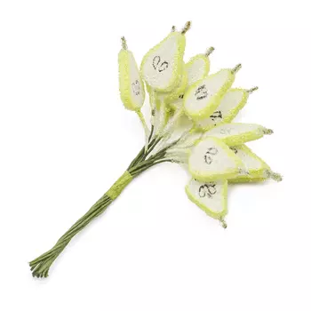 H31-2095 Декоративный букетик 'Груши половинки', зеленые, упак./12 шт., Astra&amp;Craft