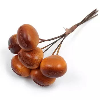 HQY15-P2006 Декоративный букетик 'Каштан', упак./6 шт., Astra&amp;Craft