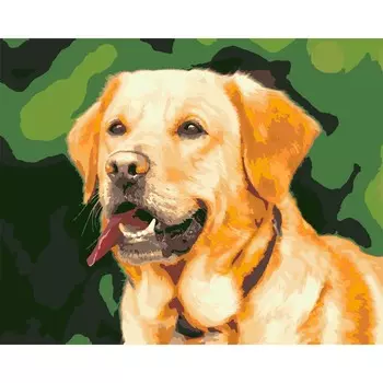 HS0028 Набор для рисования по номерам 'Золотой ретривер' 40*50см