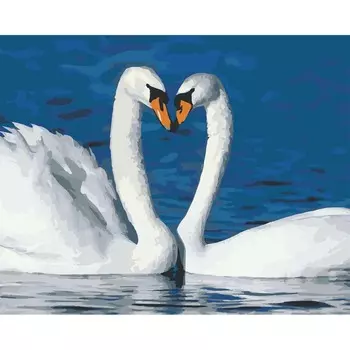 HS0069 Набор для рисования по номерам 'Пара лебедей' 40*50см