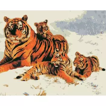 HS0427 Набор для рисования по номерам 'Полосатая семейка' 40*50см