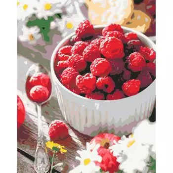 HS1217 Набор для рисования по номерам 'Малиновый десерт' 40*50см