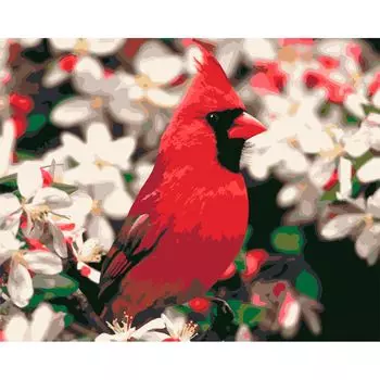 HS1231 Набор для рисования по номерам 'Кардинал' 40*50см