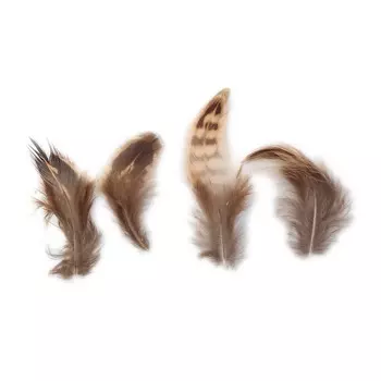 HT108A32 Перо фазана 4-6см, Астра (3гр/упак)