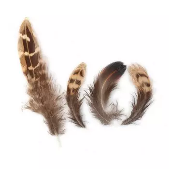 HT108A36 Перо фазана 4-6см, Астра (3гр/упак)