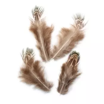 HT108A39 Перо фазана 4-6см, Астра (3гр/упак)