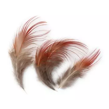 HT108A42 Перо фазана 4-6см, Астра (3гр/упак)