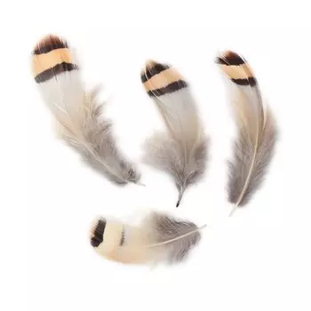 HT108A46 Перо фазана 4-6см, Астра (3гр/упак)