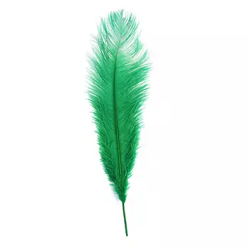 HT108A72 Перо страуса 50см, Астра (1шт/упак) (91 зеленый)