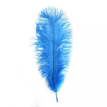 HT108A72 Перо страуса 50см, Астра (1шт/упак) (39 голубой)
