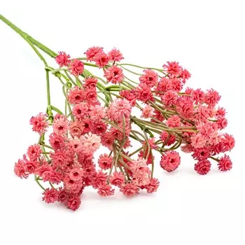 HY125-21001 Гипсофила, 63см (B Розовый)