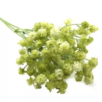 HY125-21001 Гипсофила, 63см (D Салатовый)