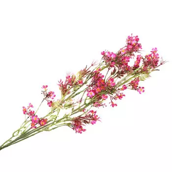 HY125-36023 Гипсофила, 90см (D Бордовый)