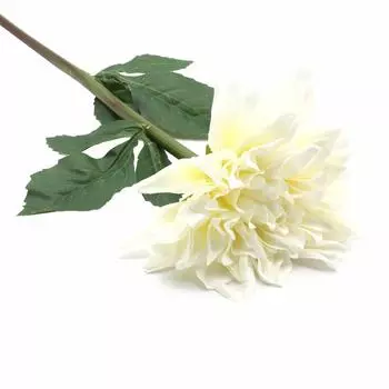 HY125-43024 Георгин, 60см (A Белая)