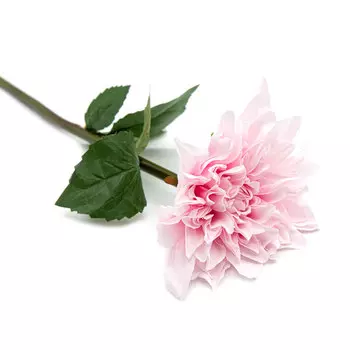 HY125-43024 Георгин, 60см (C Розовая)