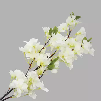 HY125-66006 Сакура, 103 см (B Белая)