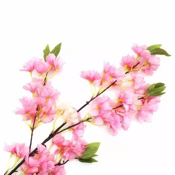 HY125-66006 Сакура, 103 см (D Розовая)