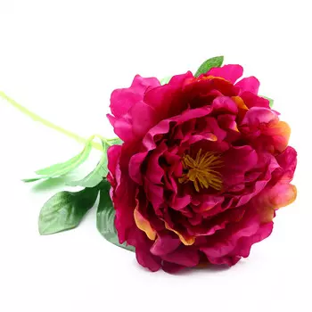 HY125-71025 Пион, 56см (B Бордо)