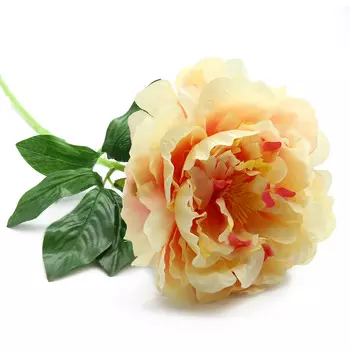 HY125-71025 Пион, 56см (C Персиковый)