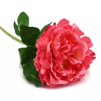 HY125-71025 Пион, 56см (D Розовый)